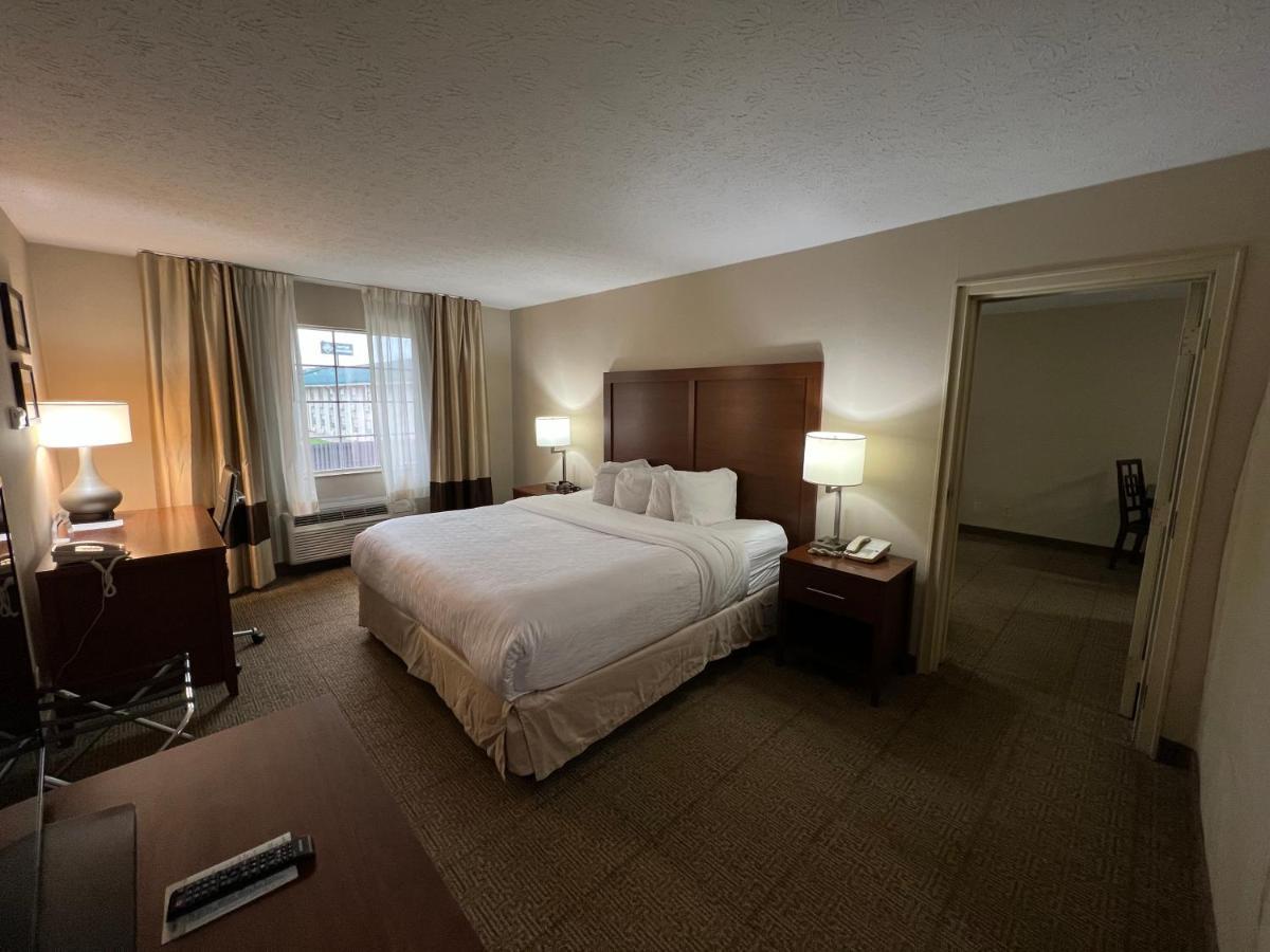 Two Bedroom Suite,463679388:JPEG