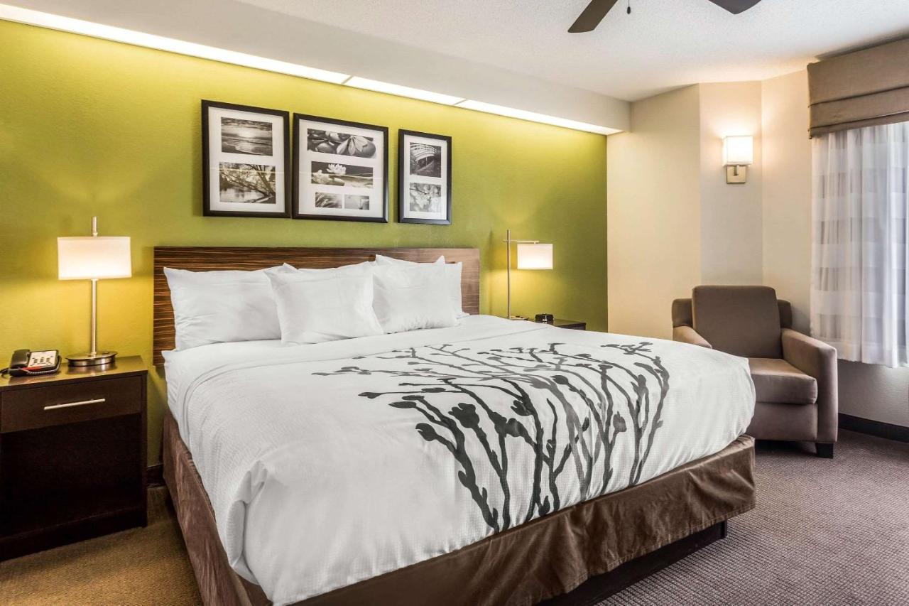 Standard King Room,1275927970:JPEG